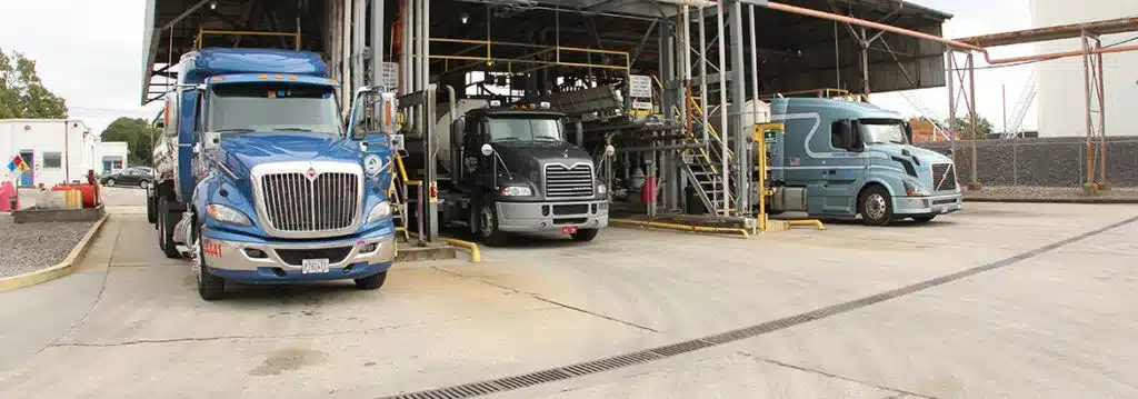 Colonial Terminals 3